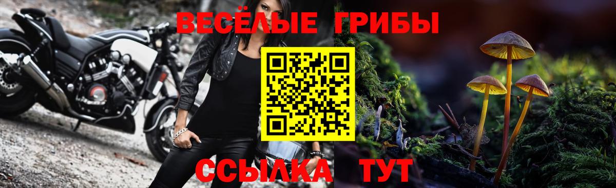 Псилоцибиновые грибы MAGIC MUSHROOMS Нижний Тагил